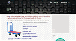 Desktop Screenshot of grupoindustrialpatinero.com